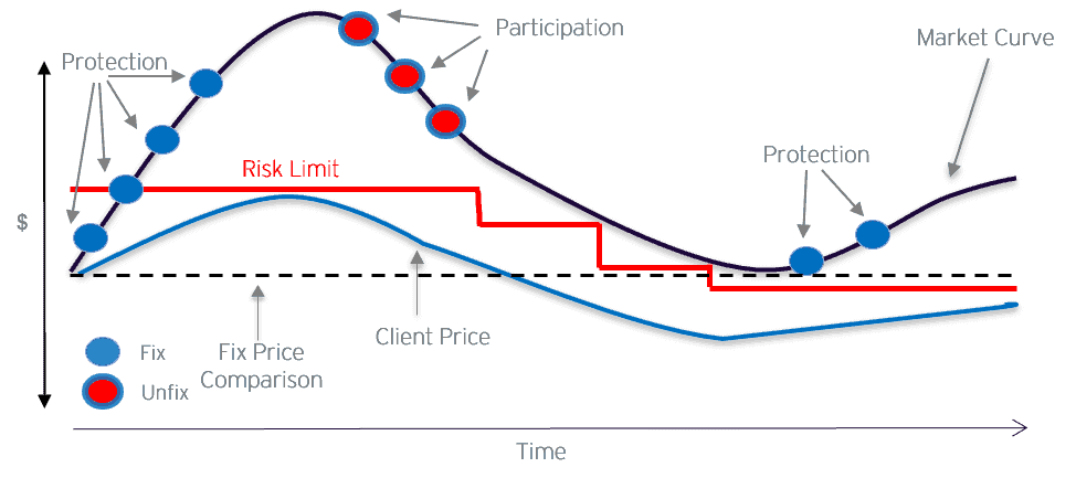 Risk-Management-Example